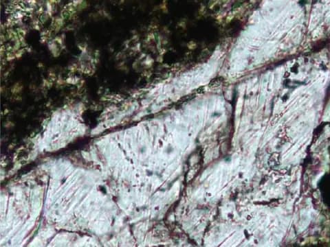 Avustralya'da Altın Ararken Antik Meteor Krateri Keşfedildi Avustralya'da Altın Ararken Antik Meteor Krateri Keşfedildi