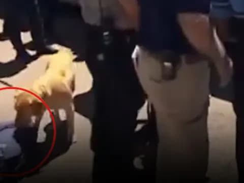 Dünya Kupası Öncesi ABD'de Kriz: Hakem Sınır Dışı Edildi, Takımlar Aranıyor Dünya Kupası Öncesi ABD'de Kriz: Hakem Sınır Dışı Edildi, Takımlar Aranıyor