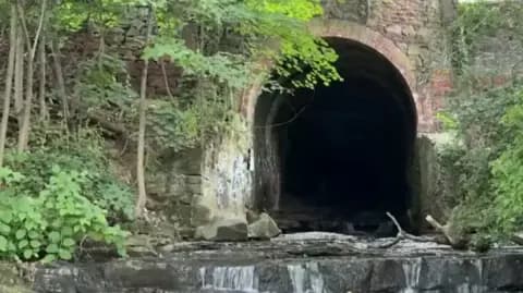 New York'ta Korkutan Okul Gezisi: 71 Öğrenci Yeraltı Tünellerinde Kayboldu New York'ta Korkutan Okul Gezisi: 71 Öğrenci Yeraltı Tünellerinde Kayboldu