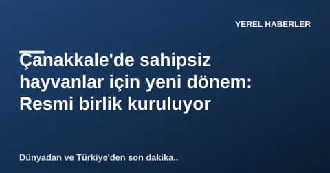 Çanakkale'de sahipsiz hayvanlar için yeni dönem: Resmi birlik kuruluyor Çanakkale'de sahipsiz hayvanlar için yeni dönem: Resmi birlik kuruluyor