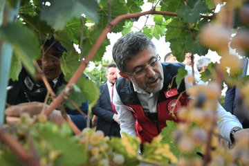 Tarım ve Orman Bakanı İbrahim Yumaklı, Tokat'ta Tokat Üzümü ve Asma Yaprağı Üzerine Yürütülen Biyoteknik Mücadeleyi İnceledi