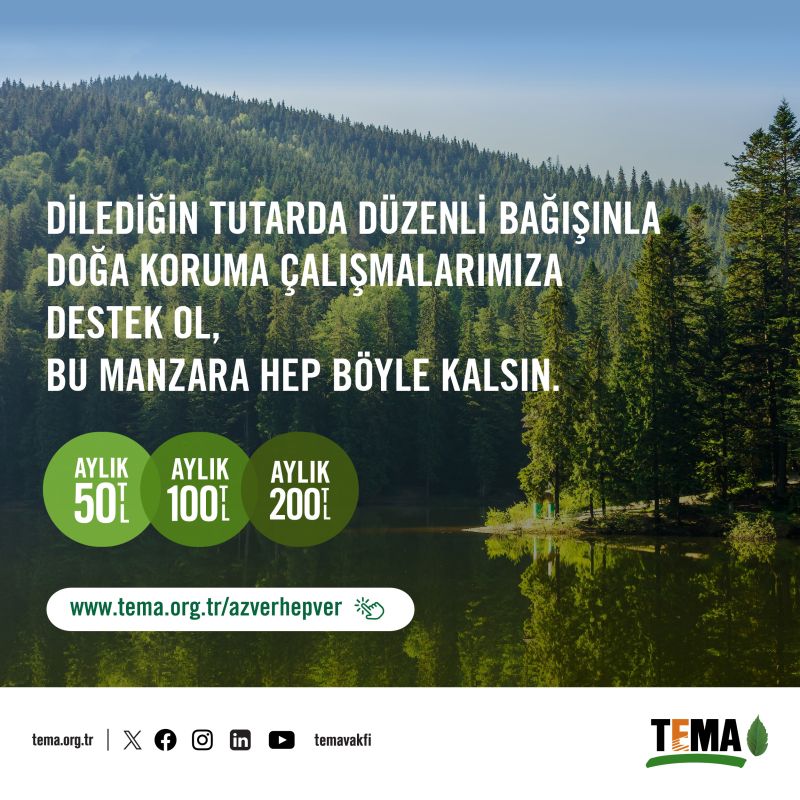 TEMA Vakfı Doğa Koruma Çalışmaları İçin Destek Çağrısı Yapıyor