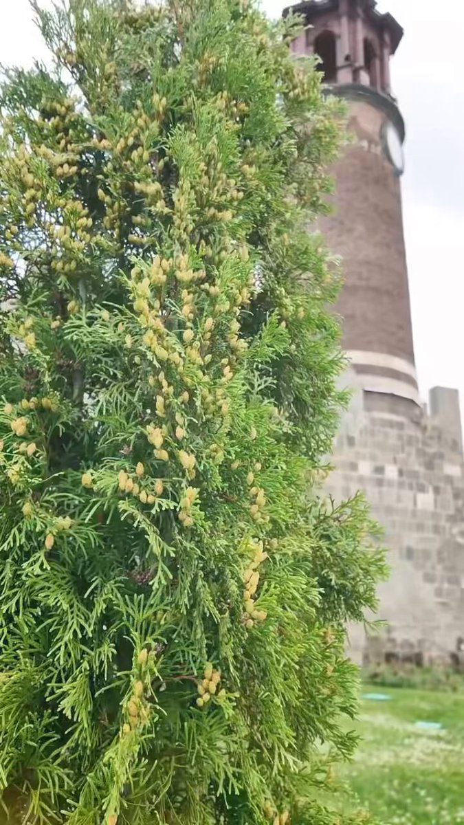 Milli Eğitim Bakanı Yusuf Tekin, Erzurum'da Eğitim ve Kalkınma Etkinliklerine Katıldı